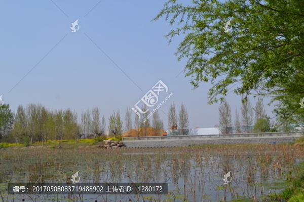 濕地公園
