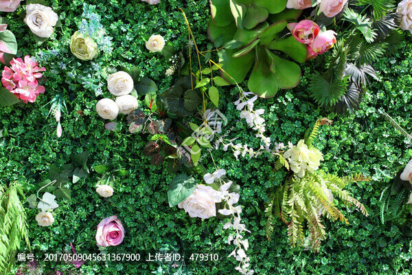 綠色植物墻,花墻,綠植,植物墻