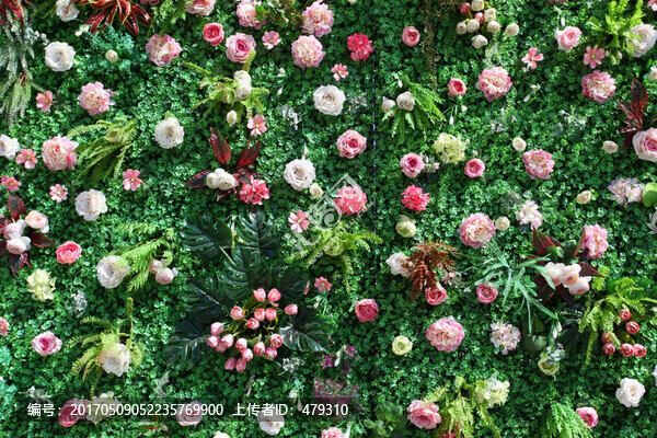 綠色植物墻,花墻,綠植