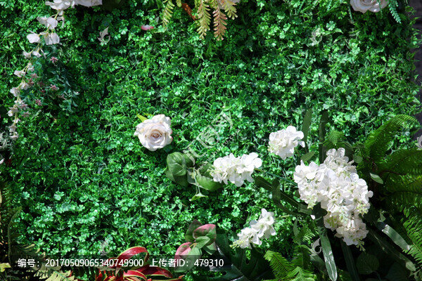 綠色植物墻,花墻,綠植,植物墻