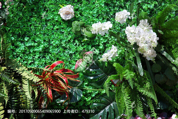 綠色植物墻