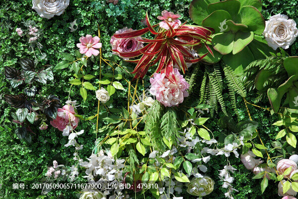 綠色植物墻