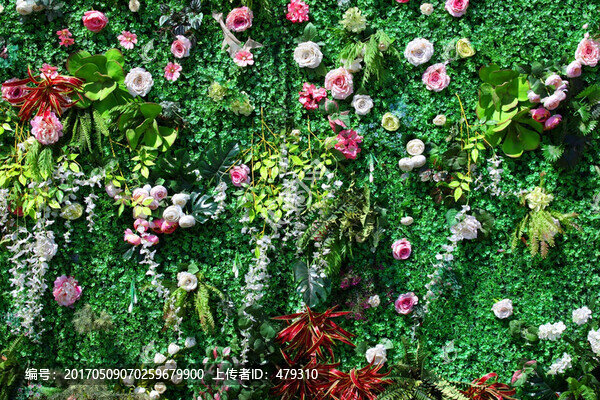 綠色植物墻,花墻