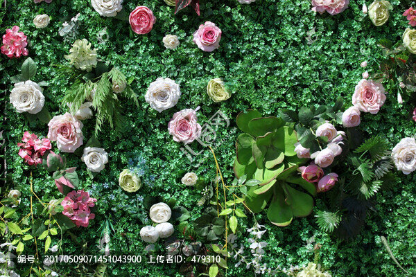 綠色植物墻,花墻,綠植