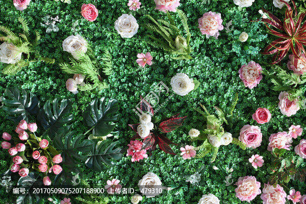 綠色植物墻,花墻,綠植