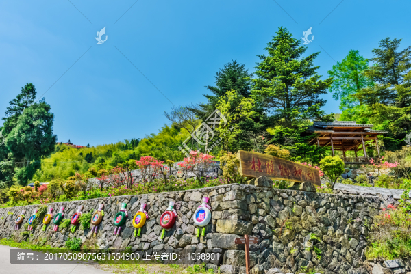 浙中杜鵑谷,杜鵑物種園