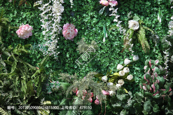 綠色植物墻,花墻,綠植,植物墻