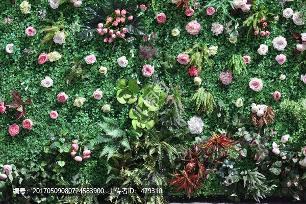 植物墻