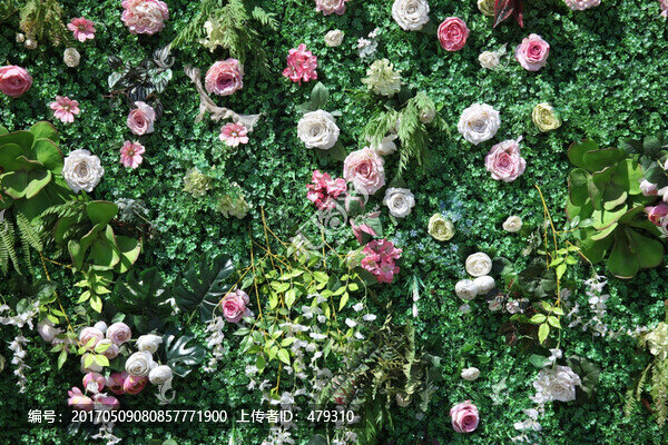 綠色植物墻,花墻,綠植,植物墻