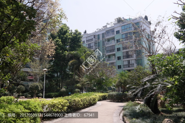 疊翠苑小區(qū)綠色樓房綠化一角