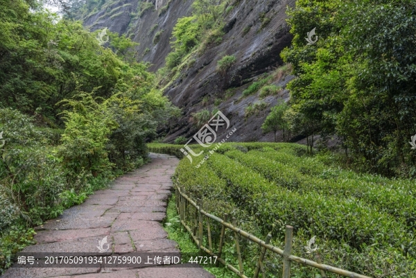 武夷山大紅袍風(fēng)景區(qū)