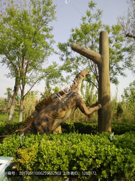 恐龍上樹