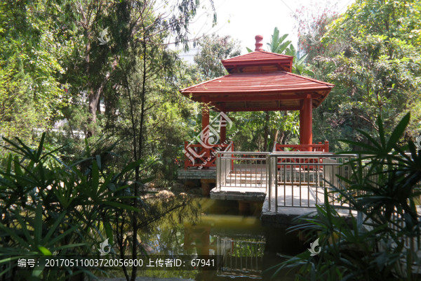 錦鯉池邊的紅色休閑涼亭