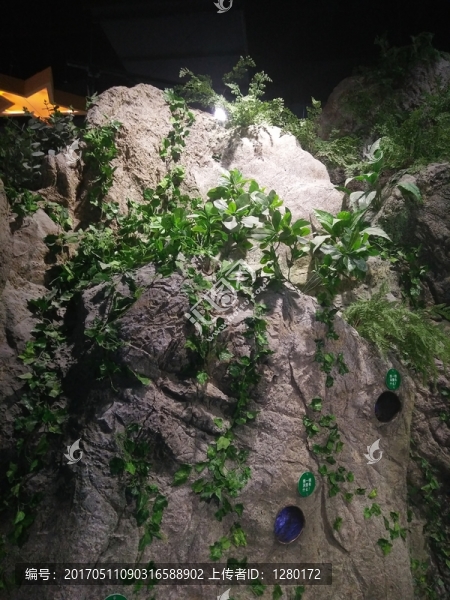 假山里的洞洞