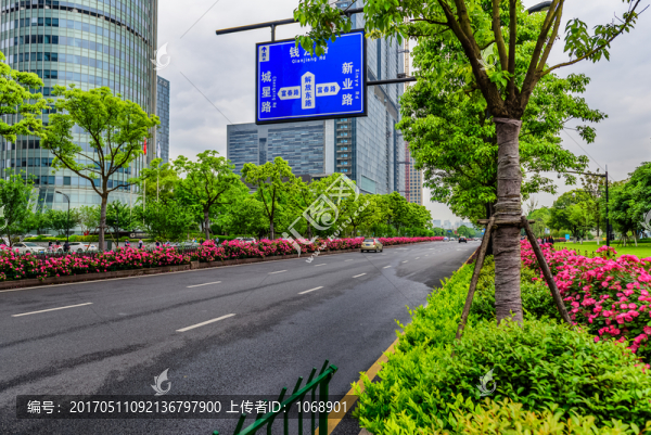 城市道路,綠化