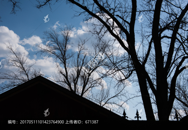 木屋剪影