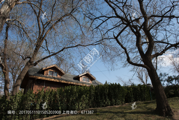 林中小屋