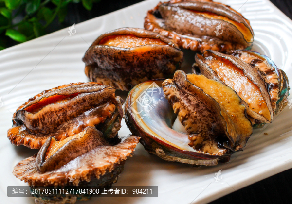 活鮑魚,新鮮鮑魚