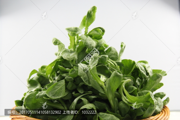 茼蒿菜