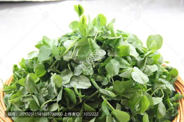 草頭
