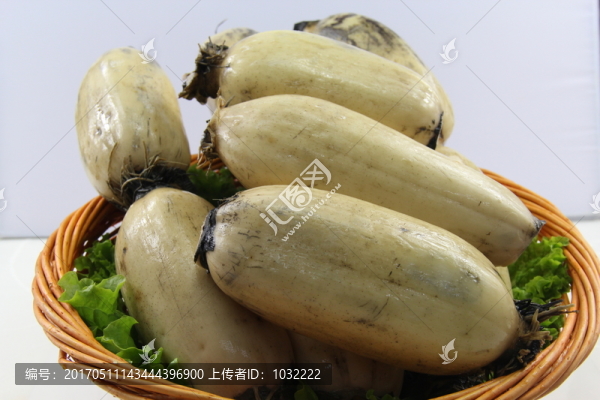 蓮藕