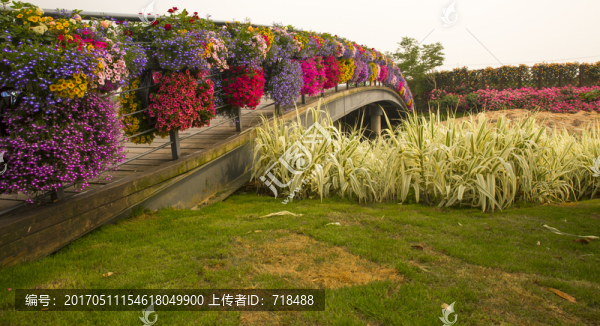 花,花橋,木橋,公園