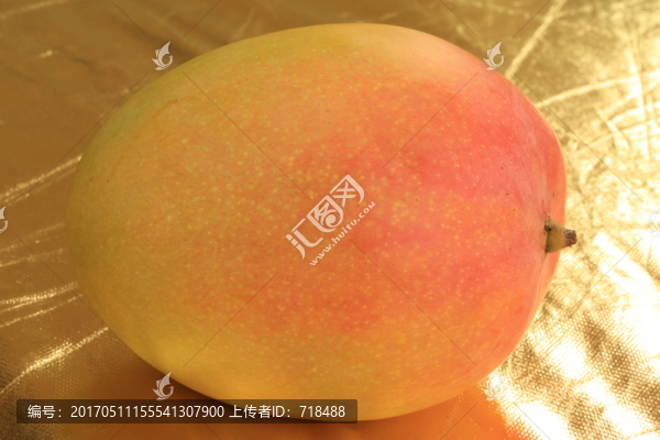 芒果
