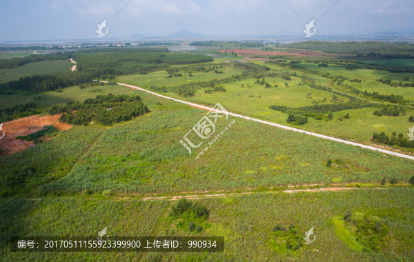 路,甘蔗林,藍(lán)天