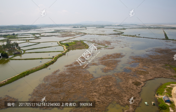 蘆葦蕩,儒洞