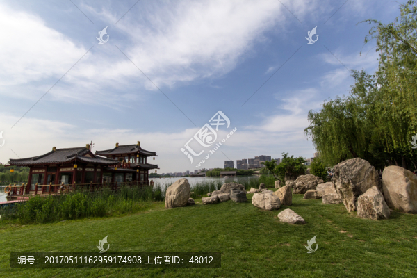 曲江池公園夏景