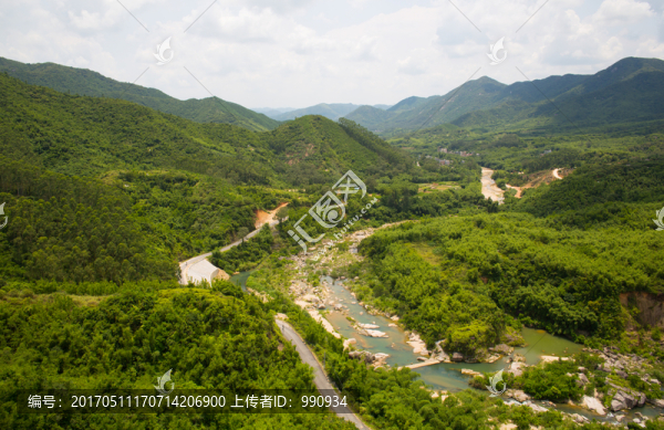 河流,東水,竹林