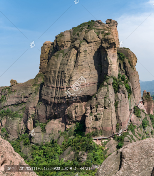 駱駝峰
