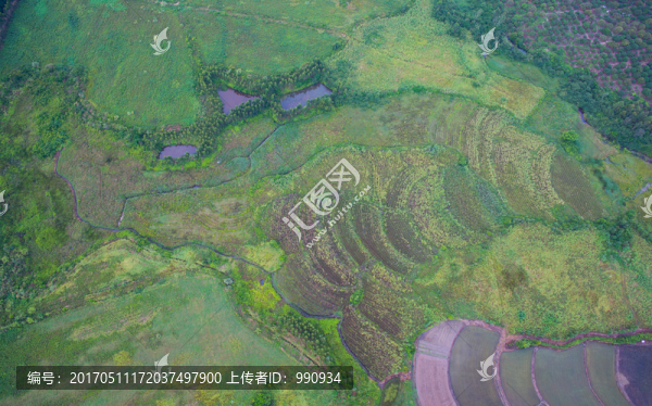 水庫,草坪,荒山青草