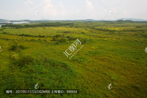 水庫,草坪,荒山青草