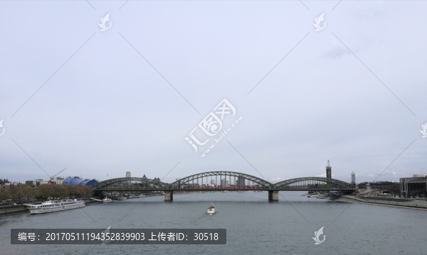 沐浴陽光的苔蘚
