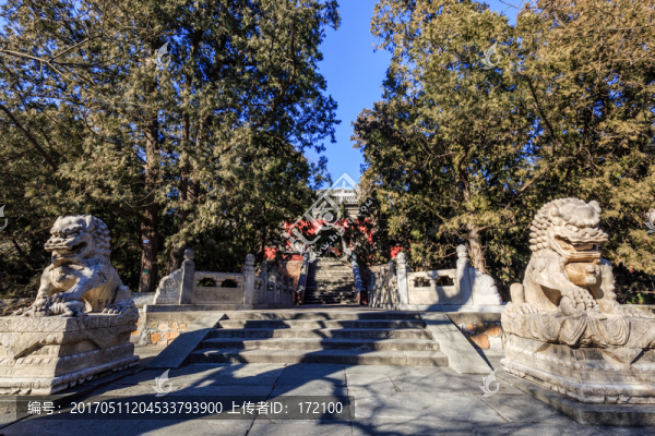 香山公園碧云寺