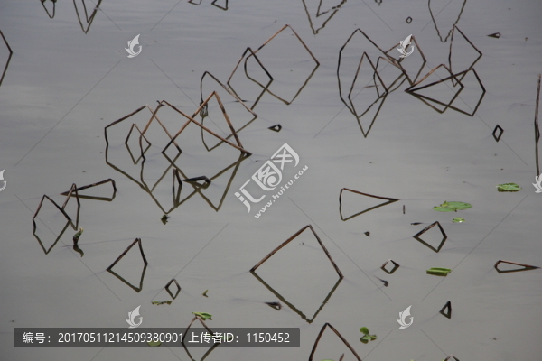 荷圖,（23）