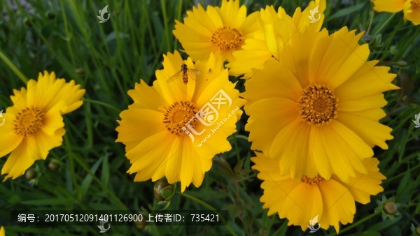 花