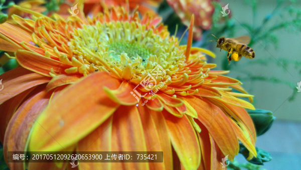 花