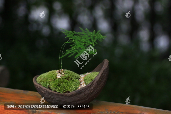 微型景觀