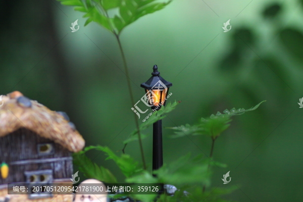 微型景觀