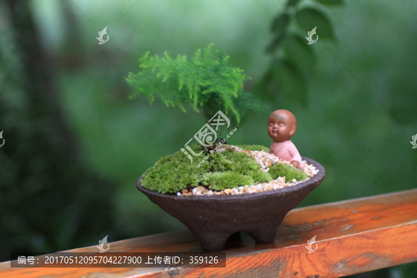 微型景觀