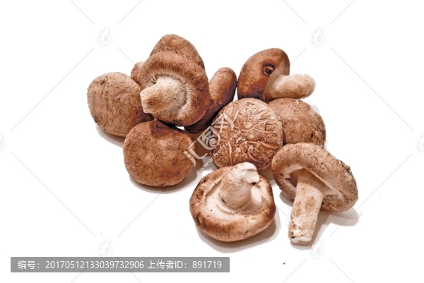 香菇,高清大圖