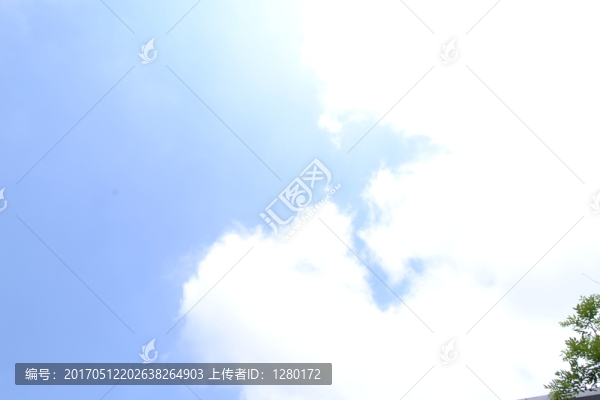 綠葉背景,邊框