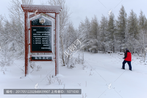 五月春雪