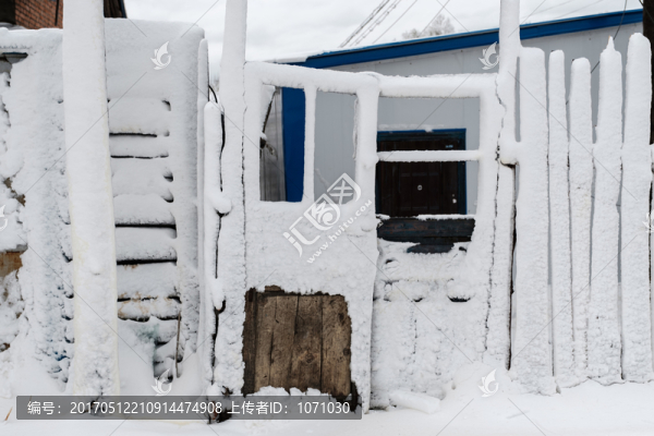 五月雪