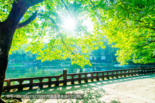 望江公園