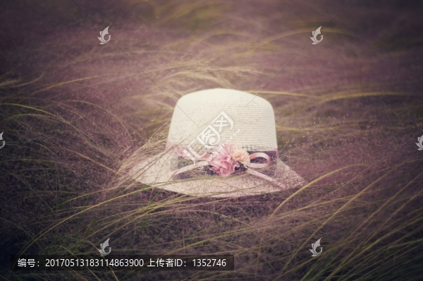 粉黛亂子草