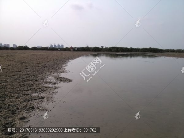 北海紅樹林