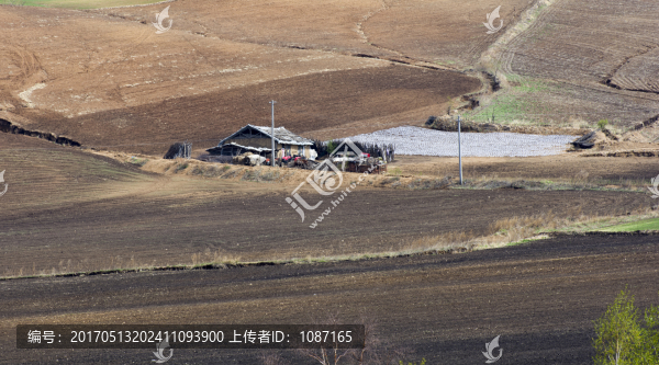 大山腳下的房子